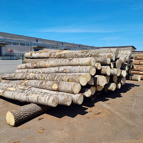 Aspen Logs
