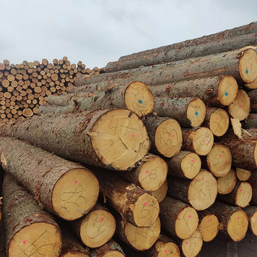 Spruce Round Logs (Picea Abies)